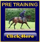 Pre-Training Horse.jpg